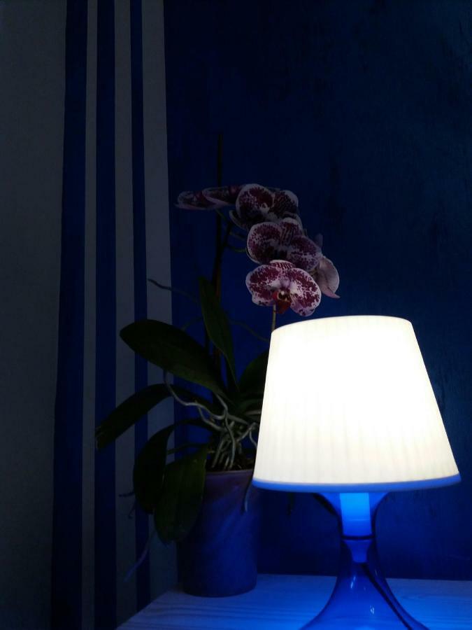 אבלינו Light Home מראה חיצוני תמונה